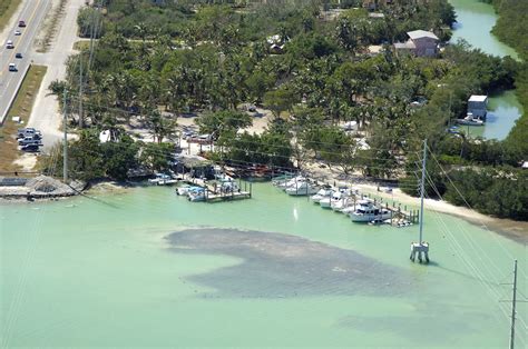 Robbie's Marina in Islamorada, FL, United States - Marina Reviews ...