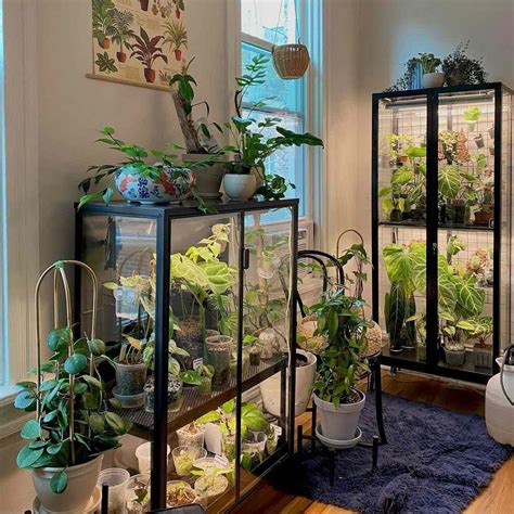 Indoor greenhouse ideas – Artofit