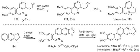 Scheme 20 Iminyl Radical Strategies For Vasconine 52 Noravicine And Download Scientific