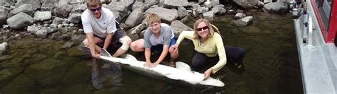 Hells Canyon Jet Boat Sturgeon Fishing Trips Snake River Bass