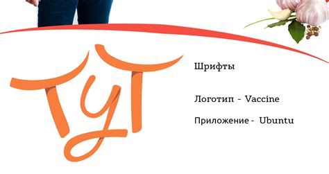 delivery service Сервис доставки продуктов ТУТмаркет on Behance