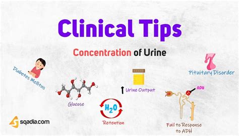 Concentration of Urine - Clinical Tips