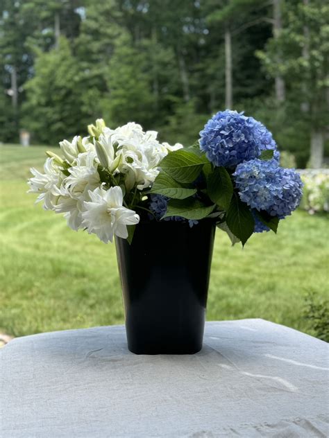 Buzzing Wholesale – Buzzing Backyard Flower Garden