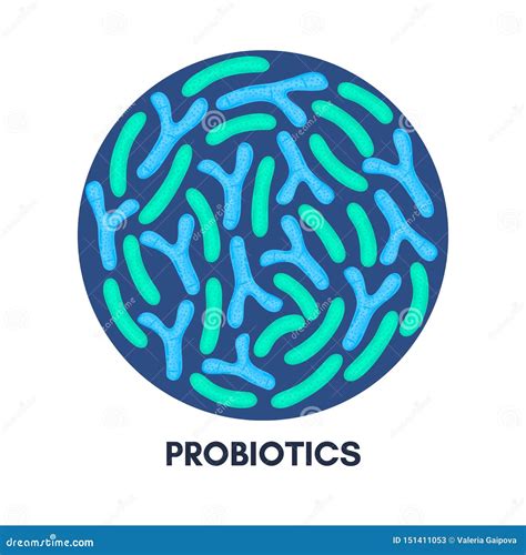 Vector Probiotics In Circular Shape Bifidobacterium Lactobacillus