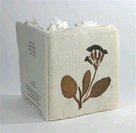 The Art Of Papermaking With Plants Artofit