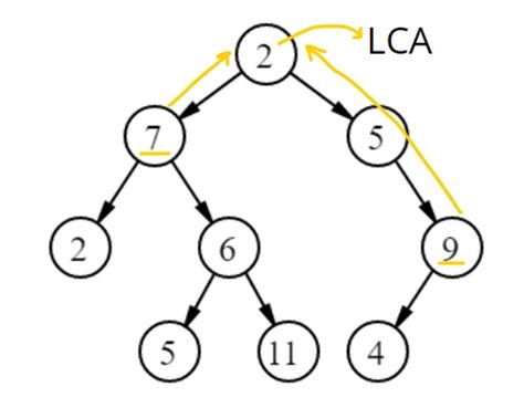 Find Distance Between Two Nodes Of A Binary Tree Naukri Code