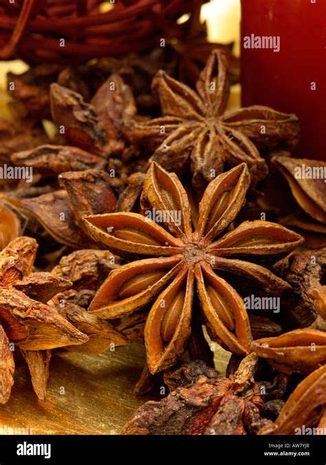 Chinese Star Anise Illicium Verum Stock Photo Alamy