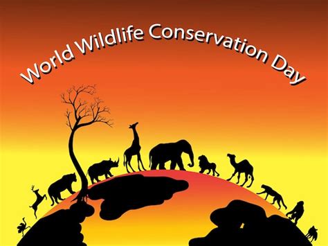 Premium Vector | World wildlife conservation day