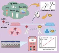 A colorimetric-aptamer-based assay for the determination of ... 