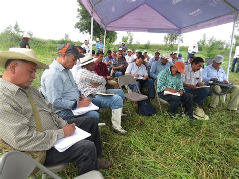 Se Realiza Primer Encuentro De Estrategias Coordinadas Por El Cimmyt