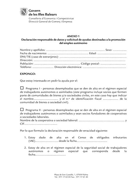 Anexo Declaraci N Responsable De Datos Y Solicitud De Ayudas Rellena