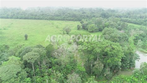 Fazenda Venda No Par Al A Vi Ria Ha Agroportal