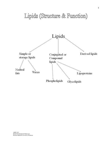 Lipids (structure & function) | PDF