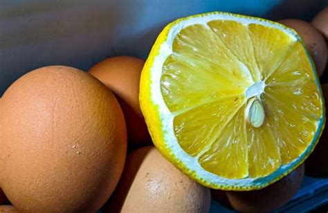 Fai Bollire Le Uova Con Due Fette Di Limone Il Trucco Che Nessuno