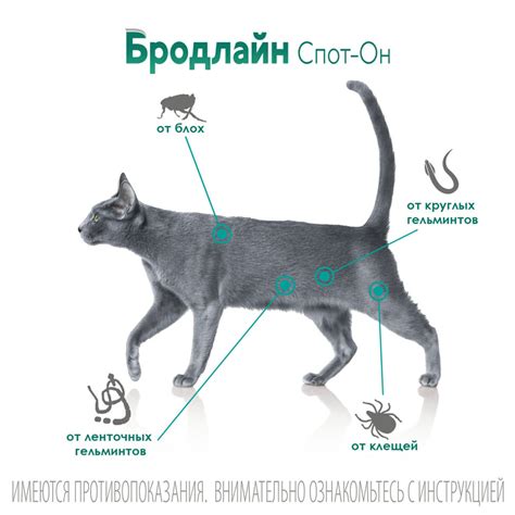 Бродлайн Спот Он в шприцах-аппликаторах капли на холку от гельминтов ...