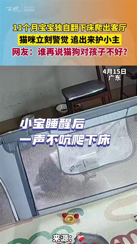 操碎了心！11个月大婴儿独自爬出客厅猫咪警觉守护 11个月大的孩子在睡醒后一声不吭爬下床，一路爬出客厅。家中猫立刻追上来守护。发现孩子继续爬