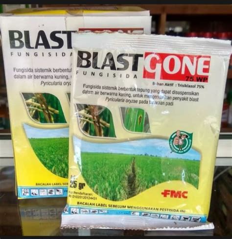 Blasthone Wp Gram Fungisida Pembasmi Jamur Penyakit Blast Tanaman