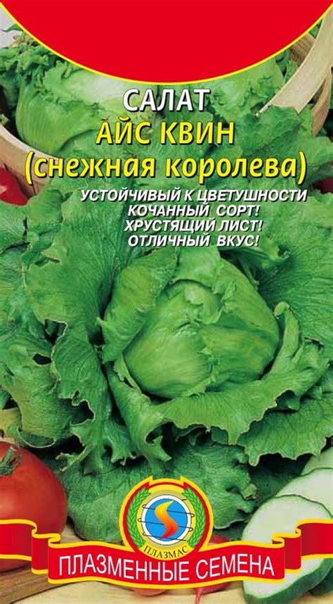 салат АЙС КВИН, Агроника