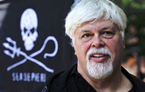 Arrestation De Paul Watson La D Tention Du Militant Cologiste Au