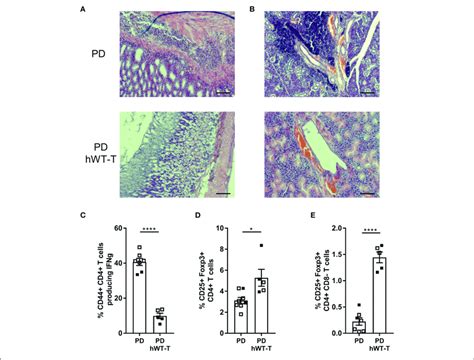 Expression Of Hmalt1 In T Cells Of Malt1 Pd Mice Rescues The Disease