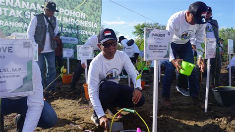 Peringati Worlds Wetland Day Kementerian LHK Tanam Mangrove Di KEK