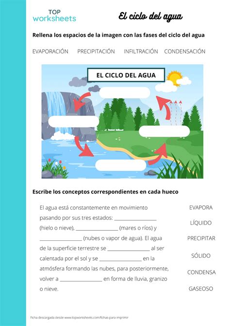 Rellena El Ciclo Del Agua Ficha Para Imprimir TopWorksheets