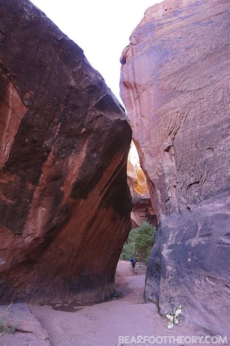 5 Incredible Grand Staircase-Escalante Hikes | Escalante, Utah travel ...