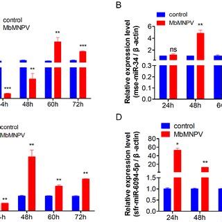 Relative Expression Of MiRNAs In Control And MbMNPV P