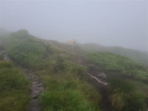 Trekking over Misty Mountains in Bergen Norway | Study Abroad with The ...