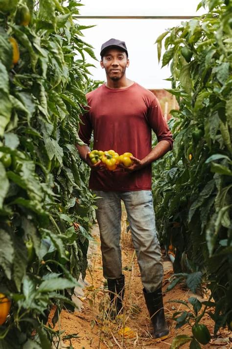 Black And Other Minority Farmers Are Getting 2 Billion From USDA After