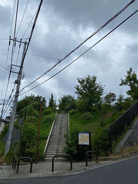 千代ヶ丘第2公園チヨガオカダイニコウエン千代ケ丘百合ヶ丘駅公園 By Line Place