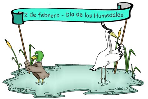 Un Ambientalista Día Mundial De Los Humedales 2019