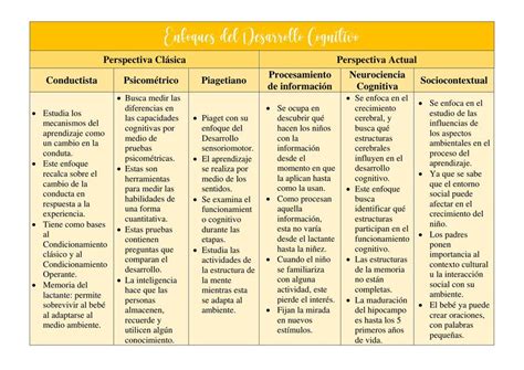 Enfoques Del Desarrollo Cognitivo