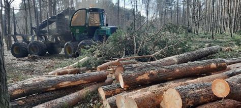 Ruszyła kolejna wycinka drzew w Zielonej Górze Celem jest rozbudowa