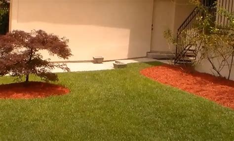 Red Mulch Landscaping Ideas - GardenProfy