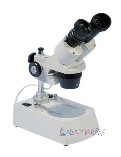 Labappara Stereo Zoom Microscope At Best Price In Ambala Cantt