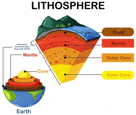 Diagrama Que Muestra Las Capas De La Litosfera Terrestre Vector Gratis