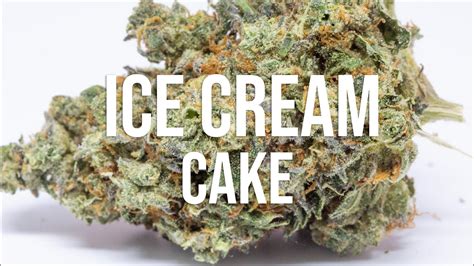 Ice Cream Cake Cannabis Strain Review Amazing Strain To Chill Youtube