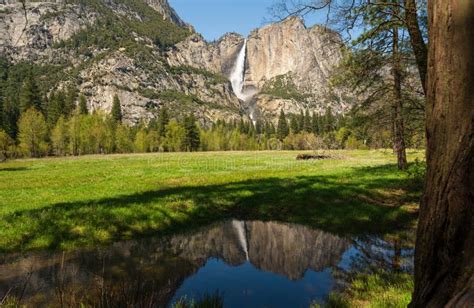 Famous Yosemite Falls Reflecting In The Water Below In Early Spring