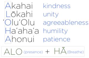 The Aloha Spirit - Energetic Health Institute