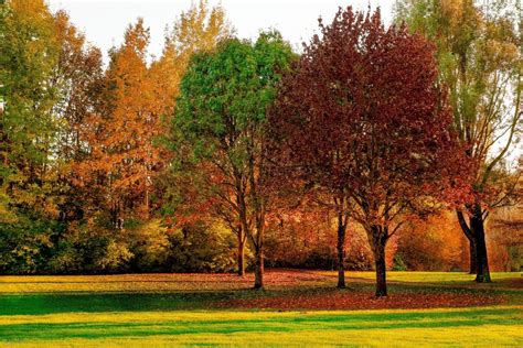 گالری تصاویر طبیعت برای تقویم فصل پاییز