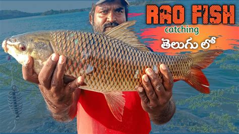 Big Rohu Fish🎣🎣 Catchingbig Fish Catchingamazing Fishingunique