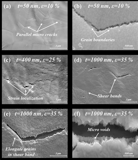 Sem Micrographs Of Micro Cracks On The Samples Elongated To Different