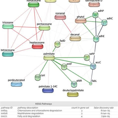 Network Pharmacology Analysis Underlying The Theoretical Interactions Download Scientific