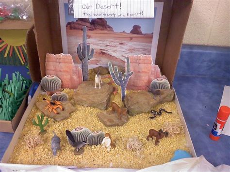 53 best shoe box & diorama images on Pinterest | School projects, Craft ...