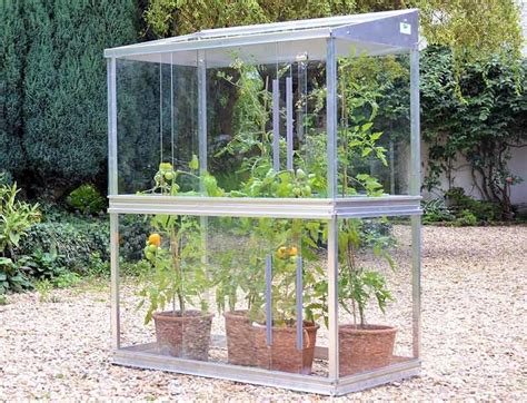 Tomatenhaus aus Glas Gewächshausplaza