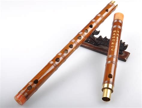 Buy Dizi Flute Study Level Chinese Bitter Bamboo Flute Dizi Instrument ...