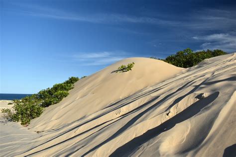 Dunas De Malembá - Dunas de Malembá, Senador Georgino Avelino – State of Rio Grande do ...