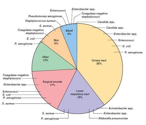 Source Of Nosocomial Infections Prevention Care Facility Introduction