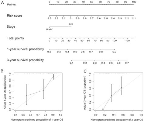 Nomogram Construction And Validation A Nomogram Developed With Risk